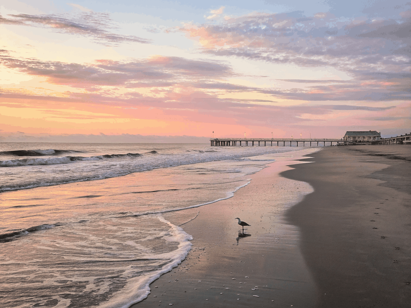 Coastal landscape